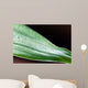 Bamboo - leaves with water drops Wall Mural
