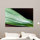 Bamboo - leaves with water drops Wall Mural
