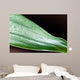Bamboo - leaves with water drops Wall Mural