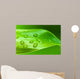 Bamboo - leaves with water drops Wall Mural