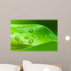 Bamboo - leaves with water drops Wall Mural