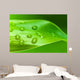 Bamboo - leaves with water drops Wall Mural