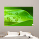 Bamboo - leaves with water drops Wall Mural