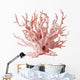 Coral Wall Decal