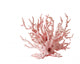 Coral Wall Decal