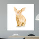 Rabbit Wall Decal Design 1