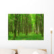 Landscape Wall Mural