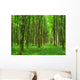 Landscape Wall Mural