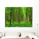 Landscape Wall Mural