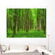 Landscape Wall Mural