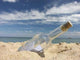Message Bottle Wall Mural