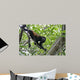 Howling monkey Wall Mural