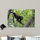 Howling monkey Wall Mural