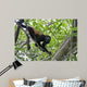 Howling monkey Wall Mural