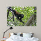 Howling monkey Wall Mural