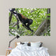 Howling monkey Wall Mural