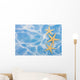 Starfish Border Wall Mural