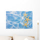 Starfish Border Wall Mural