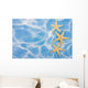 Starfish Border Wall Mural