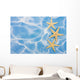 Starfish Border Wall Mural