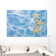 Starfish Border Wall Mural