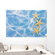 Starfish Border Wall Mural