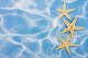Starfish Border Wall Mural