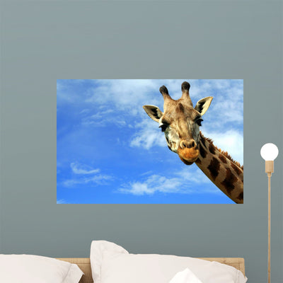 How Do You Do Wall Mural shown on a wall
