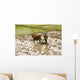Plowing Rice Paddy Wall Mural