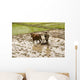 Plowing Rice Paddy Wall Mural