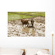 Plowing Rice Paddy Wall Mural