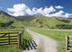 Rural New Zealand Wall Mural