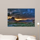 Kajenta Is on the Way Wall Mural