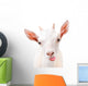 Funny Goat Showing Tongue Wall Decal