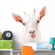 Funny Goat Showing Tongue Wall Decal
