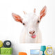Funny Goat Showing Tongue Wall Decal