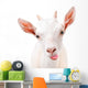 Funny Goat Showing Tongue Wall Decal