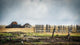 Mormon Row near Jackson Wall Decal