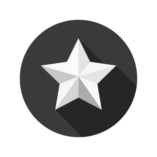 Star Icon Vector Illustration Wall Mural