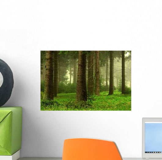 Forest 7 Wall Mural