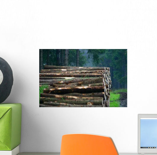 Forest 8 Wall Mural