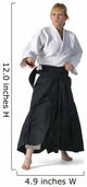 Aikido 61 Wall Decal