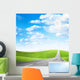 abstract scene blue sky on rural road Wall Mural