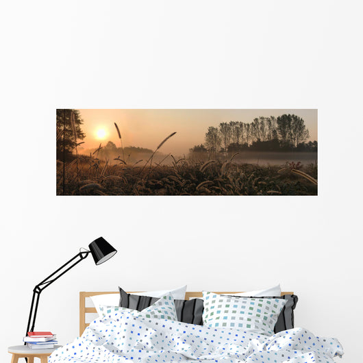 dawn Wall Mural