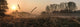 dawn Wall Mural