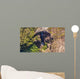 Carrington Falls Wall Mural