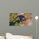 Carrington Falls Wall Mural