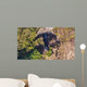 Carrington Falls Wall Mural