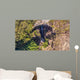 Carrington Falls Wall Mural