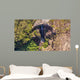 Carrington Falls Wall Mural